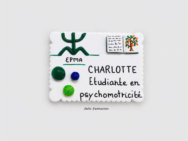 badges métier badge infirmière badge puéricultrice badge auxilaire badge interne badge étudiante badge psychologue badge julie fantaisies badge
